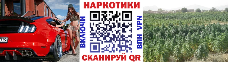 Купить наркоту Лыткарино КОКАИН  ЭКСТАЗИ  A-PVP  Марихуана  ГАШИШ 