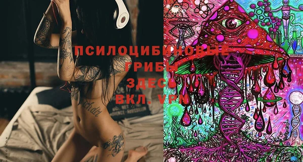 СК Барнаул