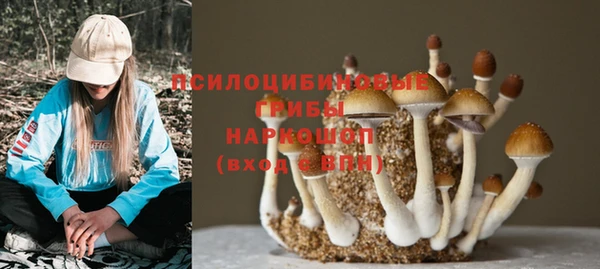 соль ск Ижевск