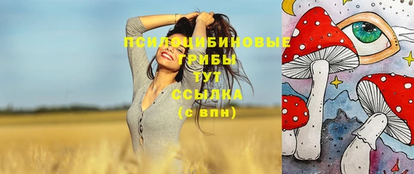 амф Балахна